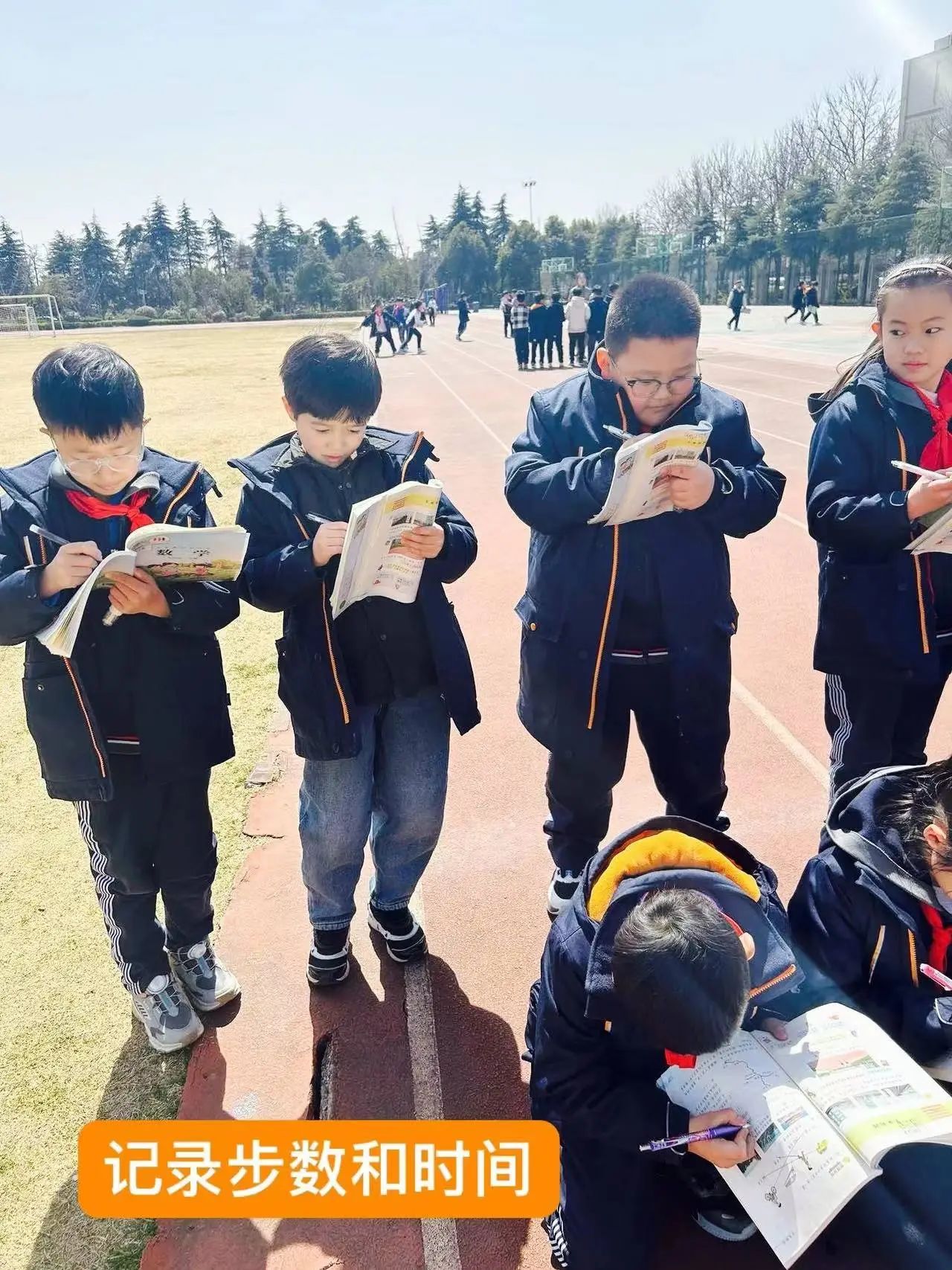 【树恩·教学】体育比赛中的数学“千米”之行——树恩附小跨学科融合教学活动