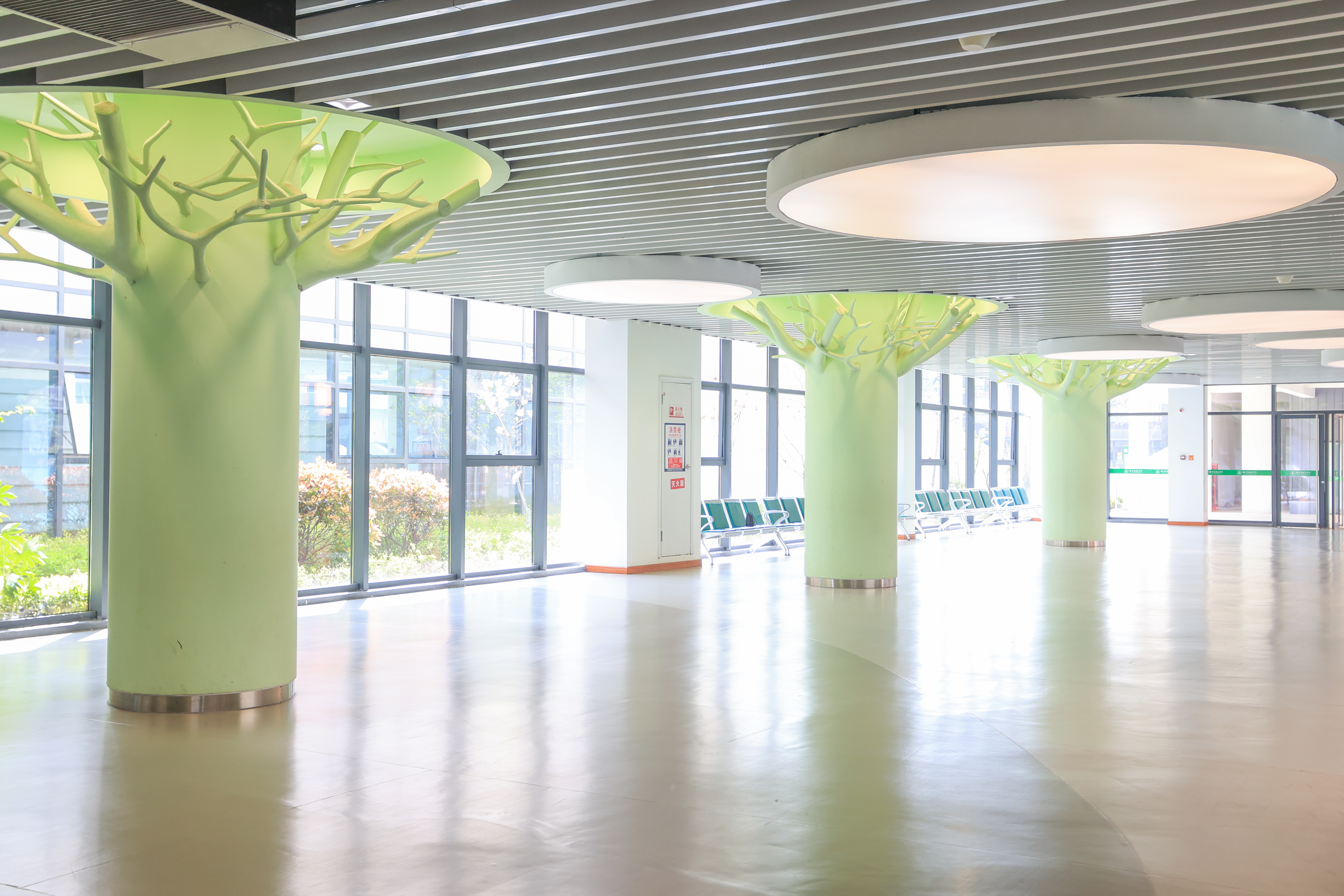 徐州市树恩中学附属小学12月1日-12月5日菜单